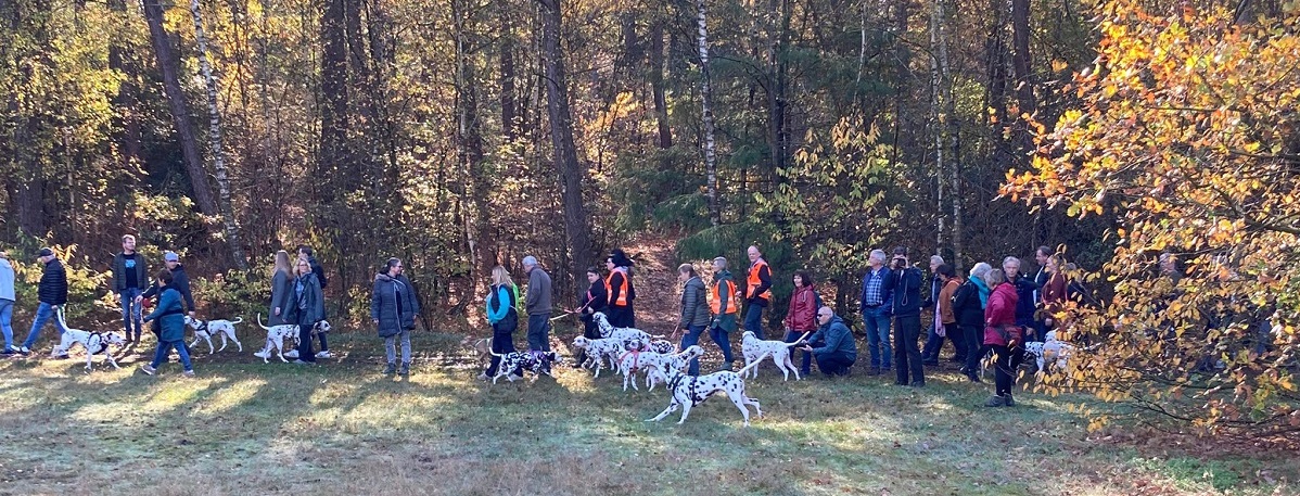 Dalmatiers wandeling najaar DIN Fonds NCDH 2023