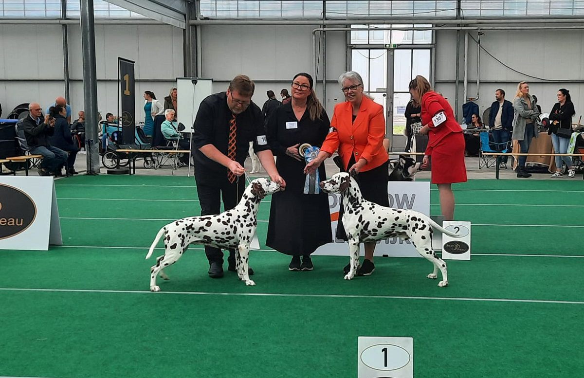 CAC/CACIB 32th INTERNATIONAL DOGSHOW BLEISWIJK 22-10-2023