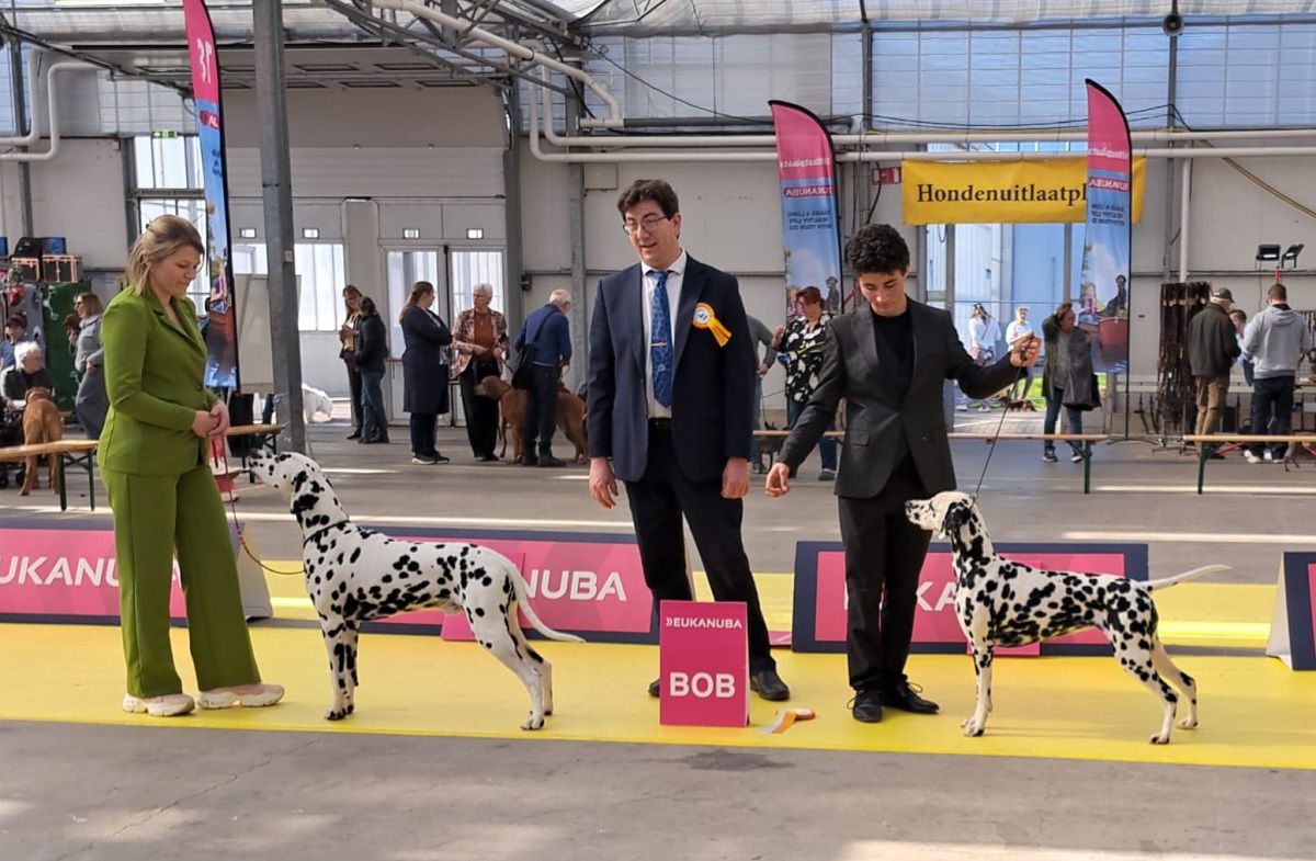 CAC/CACIB DOGSHOW RIJNLAND 16-03-2025