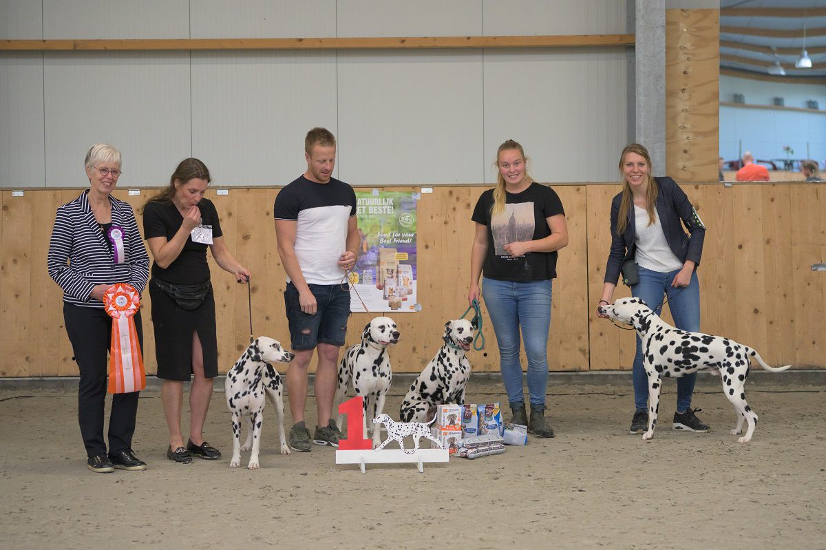 Jonge Honden en Veteranendag 2023