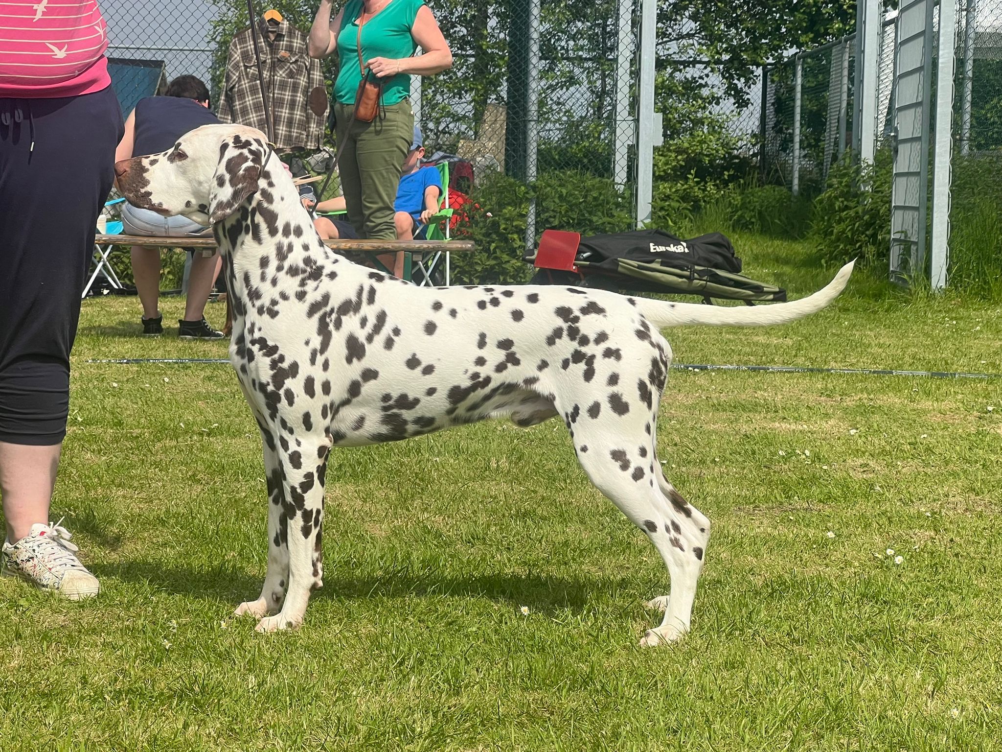 CAC-SHOW OUTDOOR ZEELAND 10-05-2024