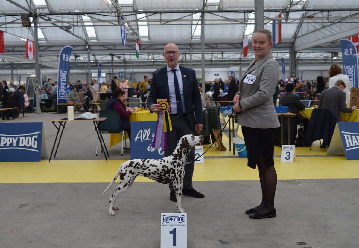 CAC/CACIB INTERNATIONAL DOGSHOW RIJNLAND - HOLLAND CUP 19-03-2023