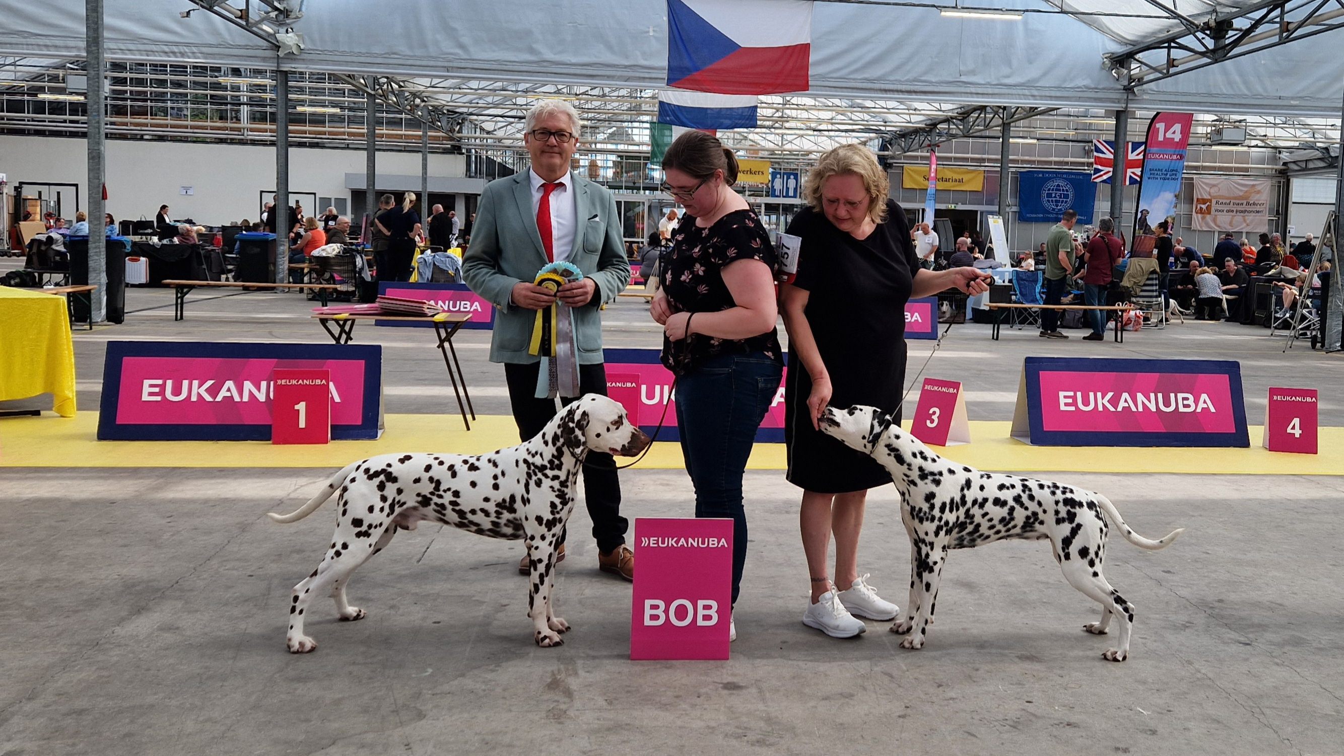 CAC/CACIB INTERNATIONAL DOGSHOW RIJNLAND 13-04-2024