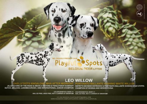 Playful Spots - Puntinato Ballante Wishing White Willow