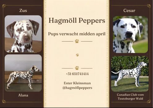 Hagmöll Peppers - Alana