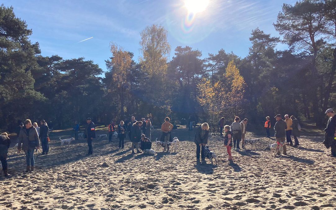 DIN-Fonds voorjaarswandeling