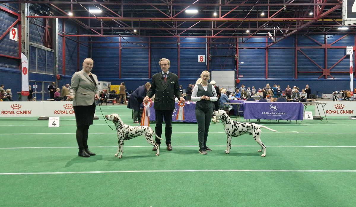 CAC/CACIB 132TH DUTCH WINNER SHOW 26-11-2023