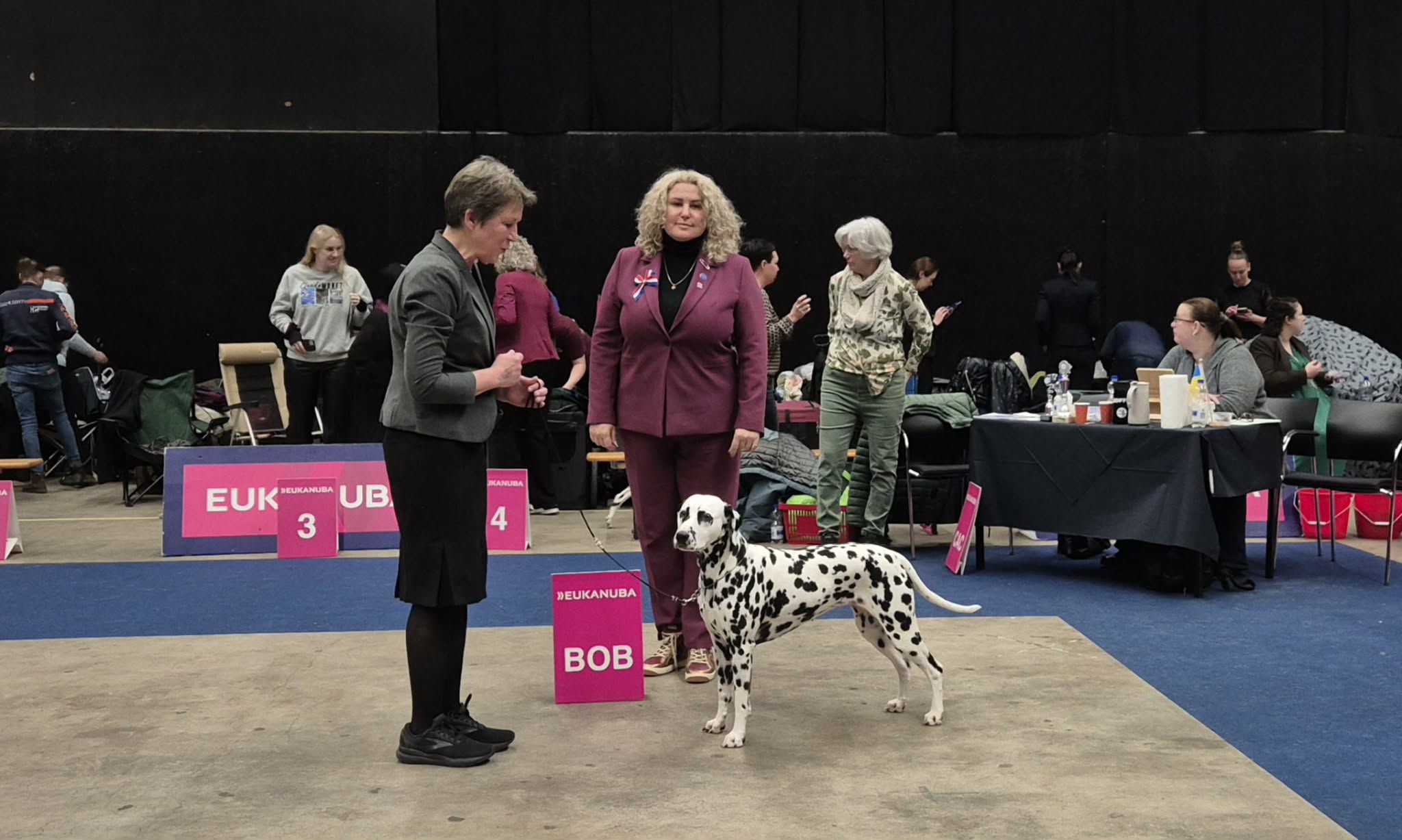 Martinidogshow Groningen 01-03-2026